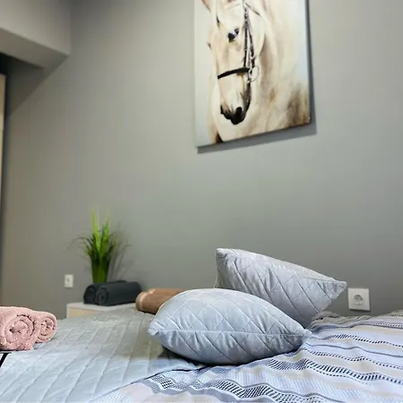 Nj Luxury And Apartment Varna